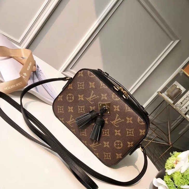 LOUIS VUITTON SAINTONGE 0814